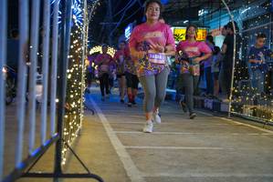 BIB: 16288
                            <button type="button" onclick="openModal(24677217)" class="btn btn-primary btn-sm float-right btn-popup" data-toggle="modal" data-target=".modal-high-quality">
                        <i class="fas fa-shopping-cart"></i> Add to Cart
                    </button>
                                            <button type="button" onclick="isThisMe(24677217, true)" class="btn btn-success btn-sm float-right btn-popup btn-isme hidden" data-toggle="tooltip" data-placement="bottom" title="นี่คือรูปของคุณใช่ไหม คลิกที่นี่เพื่อเอาเข้าอัลบั้ม">
                        <i class="fas fa-plus"></i> Add to album
                    </button>
                    <button type="button" onclick="isThisMe(24677217, false)" class="btn btn-warning btn-sm float-right btn-popup btn-isnotme hidden">
                        <i class="fas fa-ban"></i> Remove from album
                    </button>